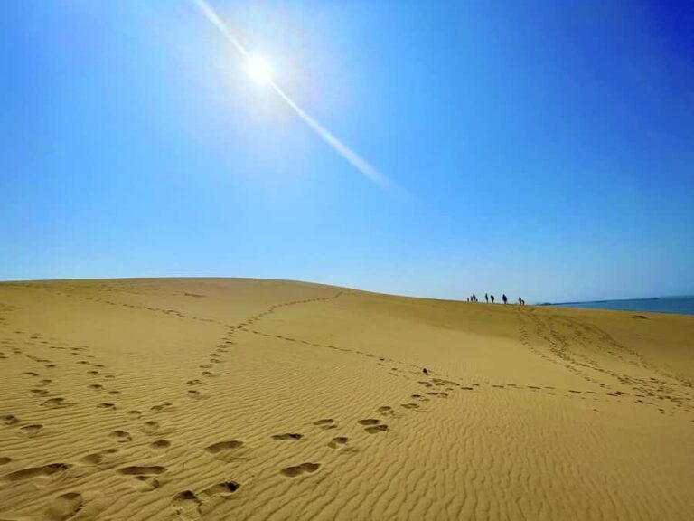 Tottori: Guided Walk through the Tottori Sand Dunes - What to Expect on the Tour