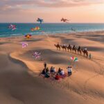 Tottori: Private Tour to Sand Dunes, Museum & Hakuto Coast - An In-Depth Look at the Tottori Private Tour