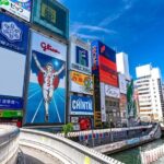 Tour Famous Spots in Osaka by Private Car - Who Is This Tour Best For?