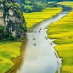 Tour Hoa Lu and Tam Coc- small group tour - An In-Depth Look at the Tour Itinerary