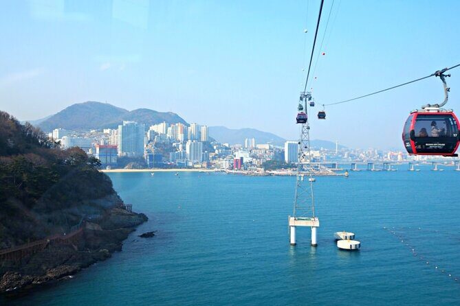 Tour to Busan Highlights Hydrangea, Songdo and Gamcheon - The Itinerary Breakdown: What to Expect at Each Stop