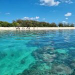 Town of 1770: Lady Musgrave Island Snorkelling Day Cruise - The Experience of the Guides and Crew