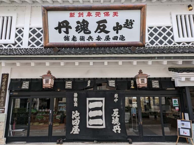 Toyama City: Stunning Streetscapes and Local History Tour - Exploring Toyama’s Historical Heart: Ikedaya Yasubei Medicine Shop