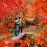 Toyota Green Life Experience Autumn Leaves, Gohei Mochi in Inabu - The Value of the Experience