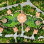 Tra Que cooking class in the morning depart from Hoi An - Exploring the Tra Que Cooking Class in Hoi An