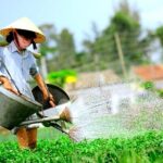 Tra Que Herbs Village & Thanh Ha Pottery Village Tour by Scooter - Final Thoughts