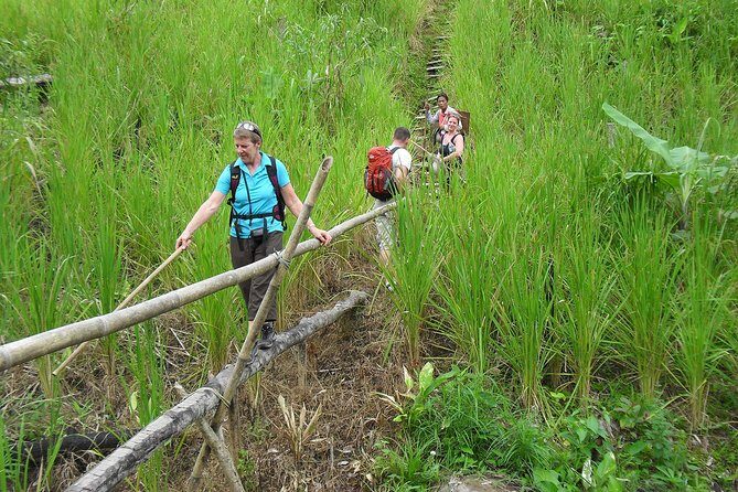 Traditional Bidayuh Village Bamboo Longhouse Tour - Value for Money