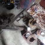 Traditional Newari Repousse Art Workshop at Patan-Full Day - Final Thoughts: Is It Worth It?