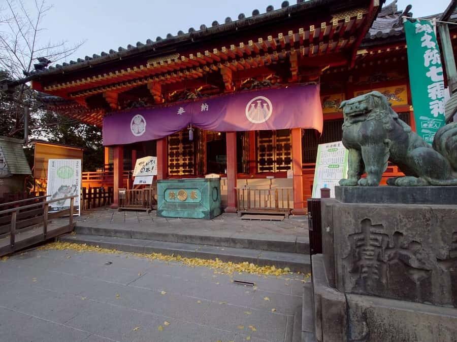 Traditional Samurai Training: Body, Mind & Sword in Asakusa - Practical Details and Value