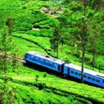 Train from Kandy to Colombo - The Experience: What to Expect on the Kandy-Colombo Train Journey