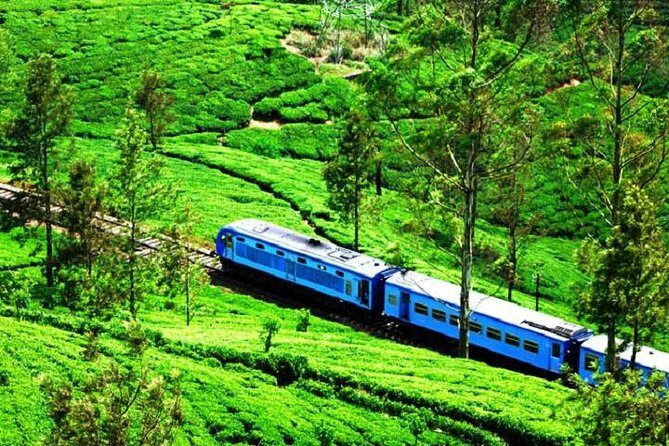 Train from Kandy to Colombo - The Experience: What to Expect on the Kandy-Colombo Train Journey