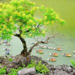 Trang An Bai Dinh 1 Day Tour From Hanoi - Practical Tips for Your Trip