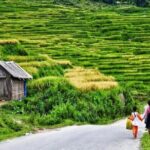 Transfer to or from Sapa in a Sleeper Bus from Hanoi - FAQ