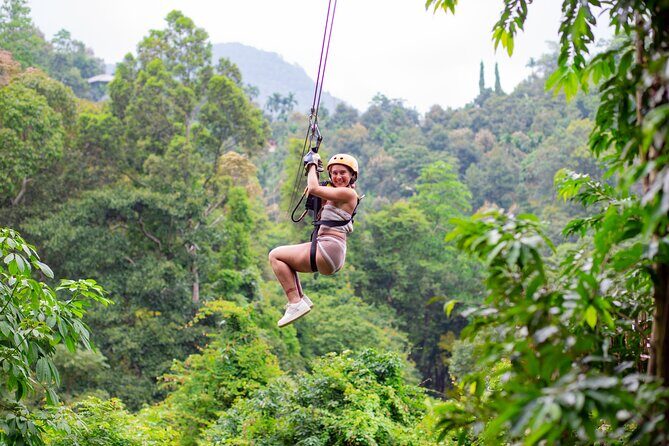 Tree Bridge Zipline Rainforest Canopy Experience from Koh Samui - Who Would Love This Tour?