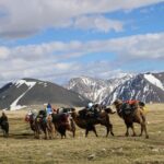Trekking in Altai Tavan Bogd - Transportation and Logistics