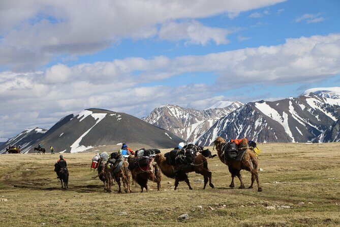 Trekking in Altai Tavan Bogd - Transportation and Logistics