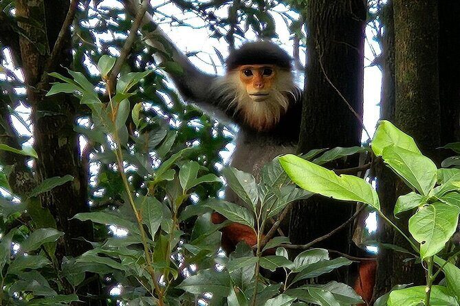 Trekking Journey Discover Bach Ma National Park from Hue - In-Depth Look at the Tour Experience
