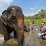 Trekking One Day with Elephant Care + Bamboo Rafting - What Makes This Tour Stand Out?