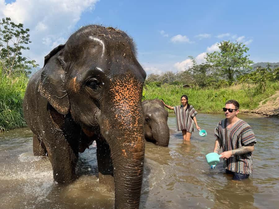 Trekking One Day with Elephant Care + Bamboo Rafting - What Makes This Tour Stand Out?