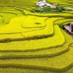 Trekking the Untouched Outskirts of Vietnam - The Experience: Authenticity, Scenery, and Local Life