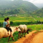 Trekking to Ta Phin, pick medicinal leaves and herbs. - Exploring the itinerary in detail