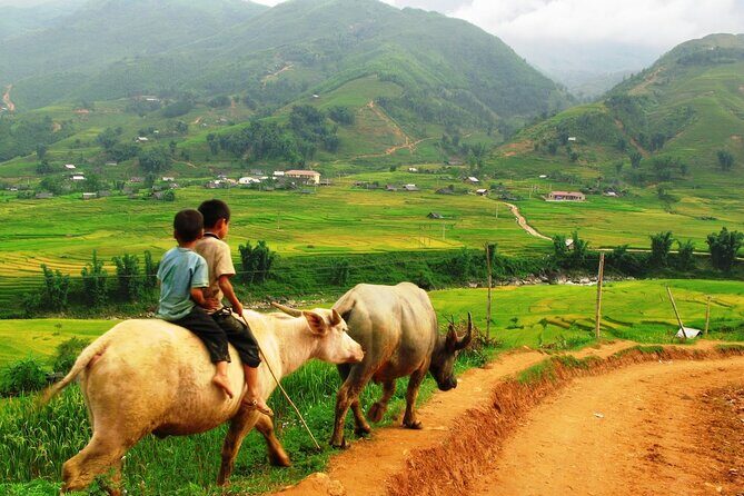 Trekking to Ta Phin, pick medicinal leaves and herbs. - Exploring the itinerary in detail