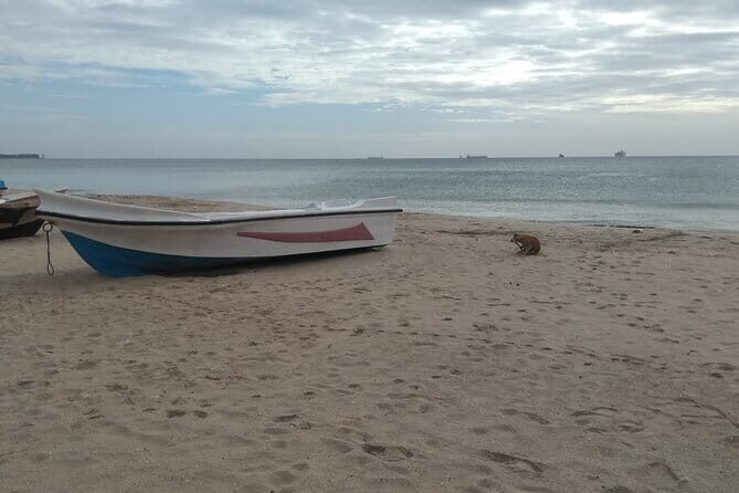 Trincomalee Day Tour From Kandy - Discovering Kanniya Hot Springs: Natural Rejuvenation