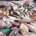 Trincomalee: Pigeon Island Day Tour with Lunch from Habarana - The Practicalities: Transport, Timing, and Value