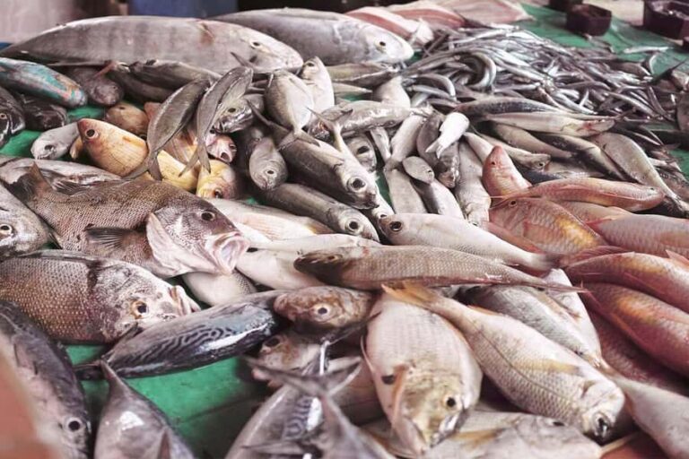 Trincomalee: Pigeon Island Day Tour with Lunch from Habarana - The Practicalities: Transport, Timing, and Value