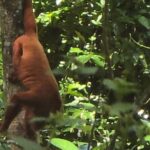 Trinidad's Mud bath - The Sum Up