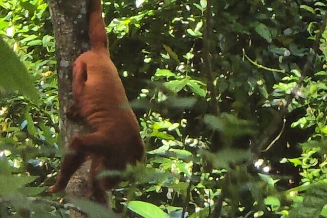 Trinidad's Mud bath - The Sum Up