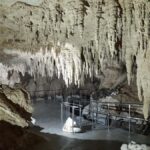 TrioDEAL MilkyWay GLOWWORM Cave, Kiwi Bird & Whangarei Falls - The Practicalities: What to Expect