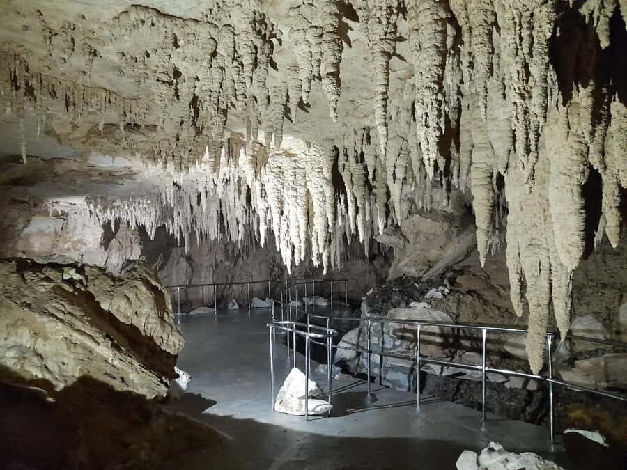 TrioDEAL MilkyWay GLOWWORM Cave, Kiwi Bird & Whangarei Falls - The Practicalities: What to Expect