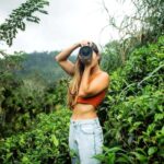 Trip from Kandy to Ambewela Railway Station via Nuwara Eliya - Exploring the Itinerary: What You Can Expect