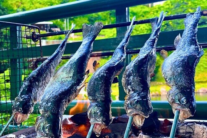 Trout Fishing Adventure Near Tokyo - The Sum Up: Who Is This Tour Best For?