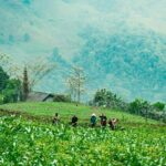 True North Ha Giang Loop Motorbike Tour 4 Days of Adventures - The Experience from Reviews