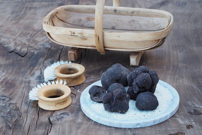 Truffle Hunt and Truffle Pizza Experience in Red Hill - Practical Details and What Sets This Tour Apart