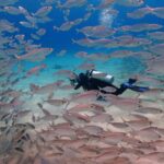 Try Scuba Diving in Racha Yai/noi: 3 Dives for Non-Certified - Key Points: