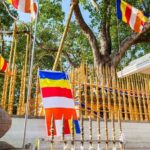 Tuk Tuk Day tour Anuradhapura Ancient City - What Sets This Tour Apart?