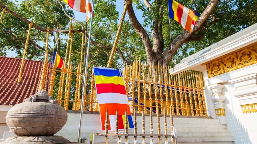 Tuk Tuk Day tour Anuradhapura Ancient City - What Sets This Tour Apart?