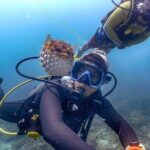Tunku Abdul Rahman Marine Park Leisure Diving from Kota Kinabalu - Real Traveler Insights and Hidden Gems