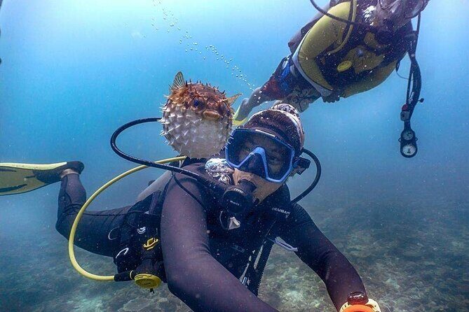 Tunku Abdul Rahman Marine Park Leisure Diving from Kota Kinabalu - Real Traveler Insights and Hidden Gems