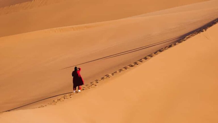 Turpan: Xuanzang Silk Road with Kumtag Desert Private Tour - Who Is This Tour Best For?