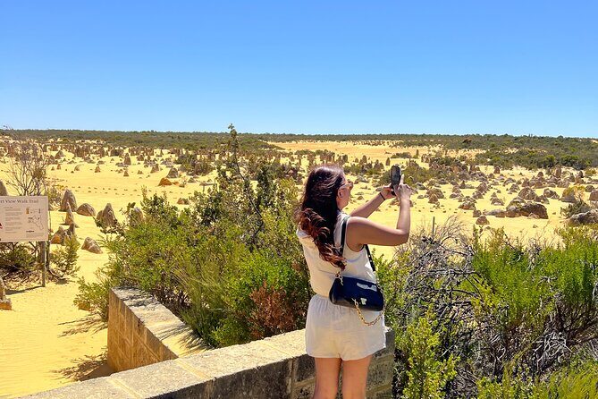 Turquoise Coast and Pinnacles Desert, Lunch Included. - An In-Depth Look at the Tour Experience
