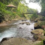 Twin Waterfalls Private Tour in Bali - The Value of the Price