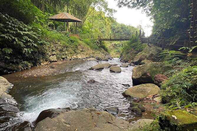 Twin Waterfalls Private Tour in Bali - The Value of the Price