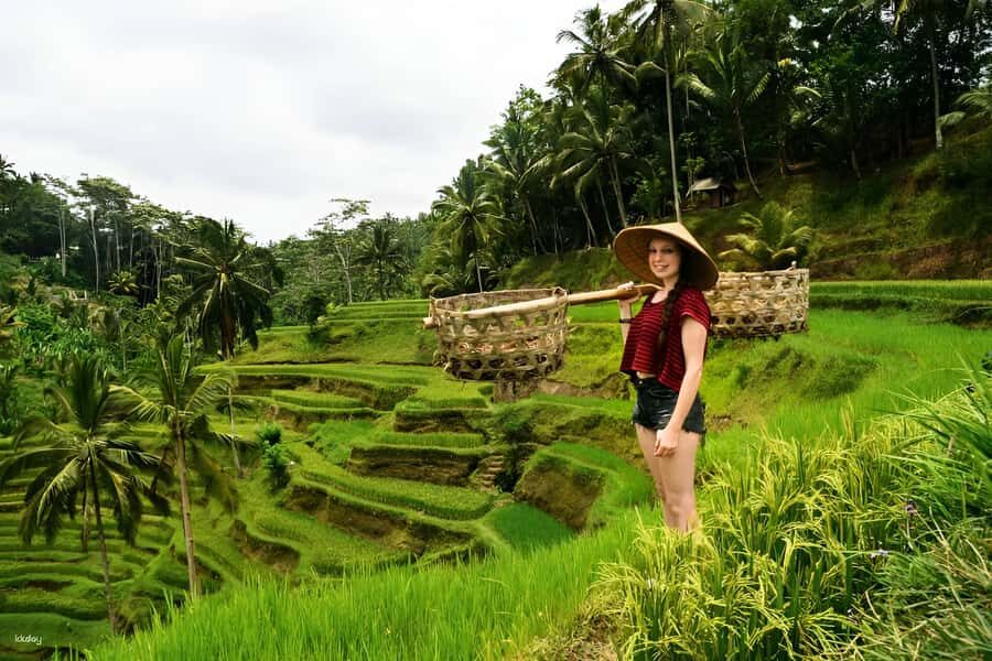 Ubud: 3-Day Tour with Sacred Monkey Forest Sanctuary. - Transportation, Timing, and Practical Details