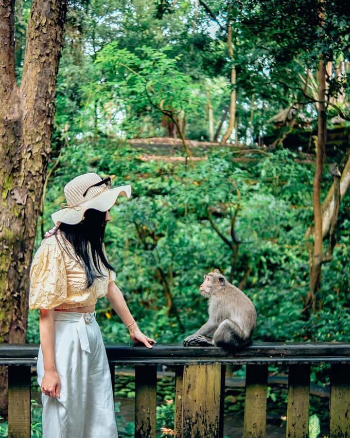 Ubud Adventure: Monkey Forest, Rice Terraces & Waterfalls - An In-Depth Look at the Ubud Adventure Tour