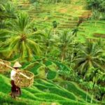Ubud: Alas Harum, Temple, and Waterfall - Private Tour - Why This Tour Offers Great Value