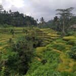 Ubud All Inclusive Sightseeing Tour - What Makes This Tour Stand Out